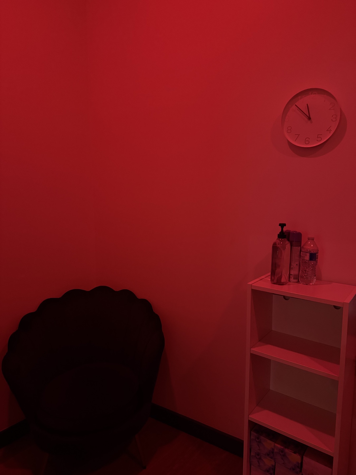 Inside the 295 Ashfield studio